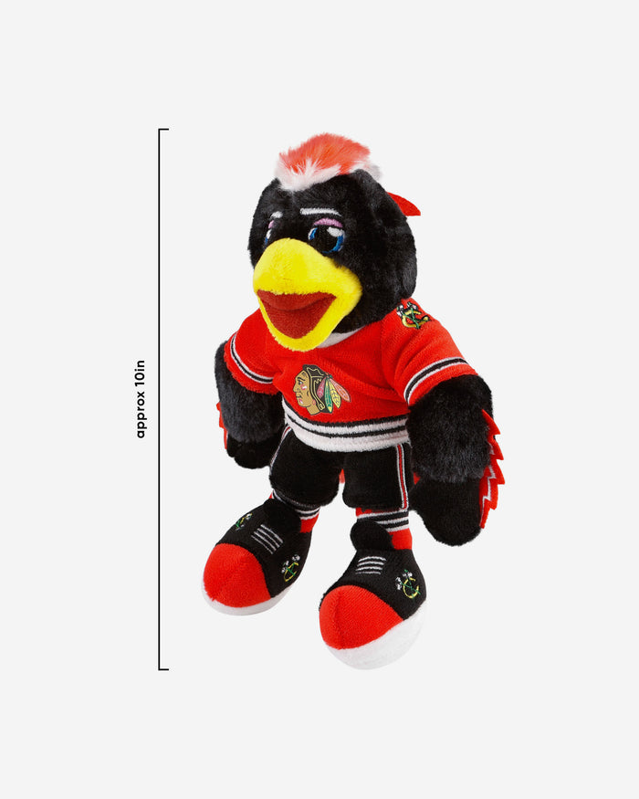 Tommy Hawk Chicago Blackhawks Small Plush Mascot FOCO - FOCO.com