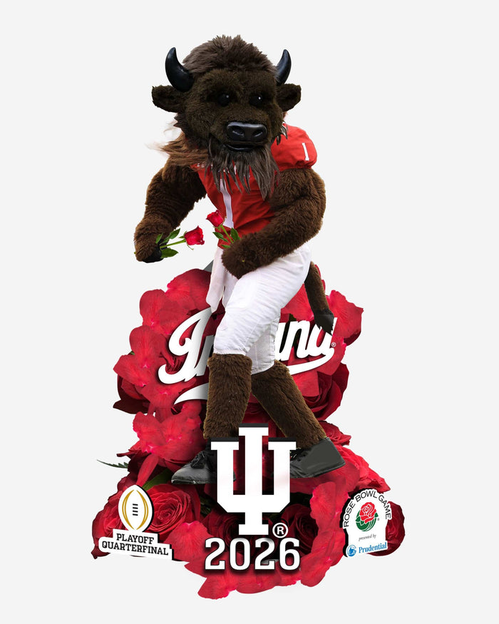 Indiana Hoosiers Rose Bowl Winner Mascot Bobblehead FOCO - FOCO.com