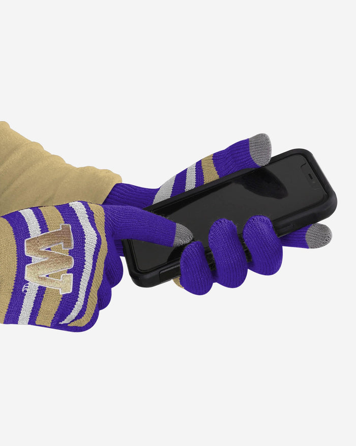 Washington Huskies Stretch Gloves
