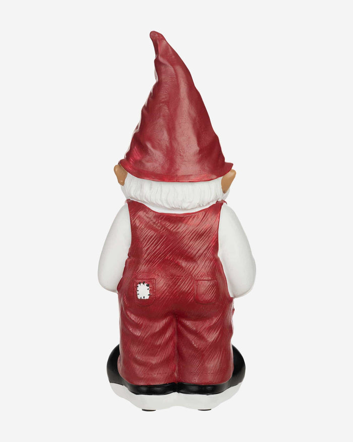 South Carolina Gamecocks Team Gnome FOCO - FOCO.com