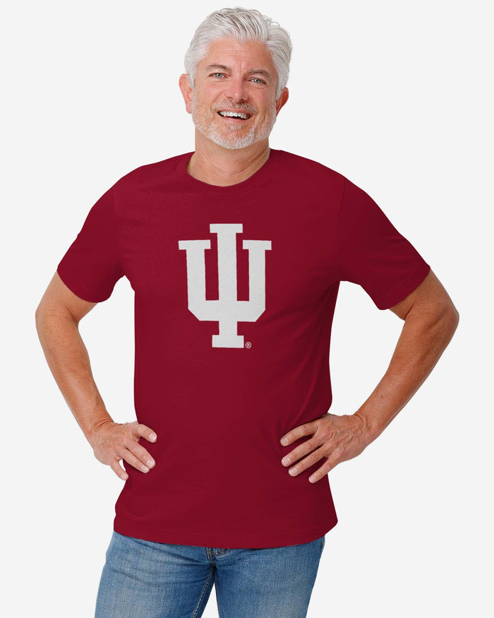 Indiana Hoosiers Primary Logo T-Shirt FOCO - FOCO.com