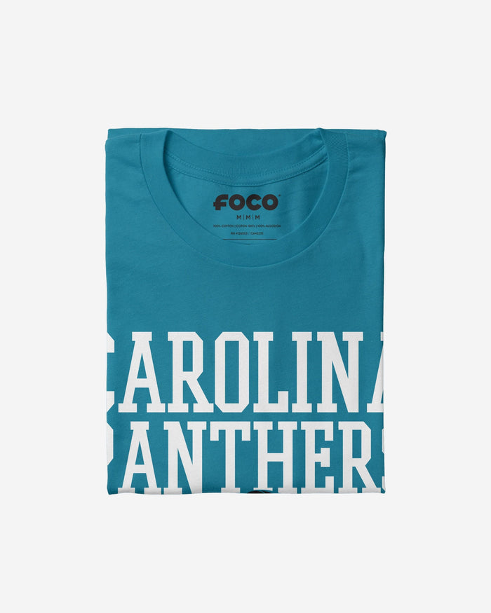 Carolina Panthers Bold Wordmark T-Shirt FOCO - FOCO.com