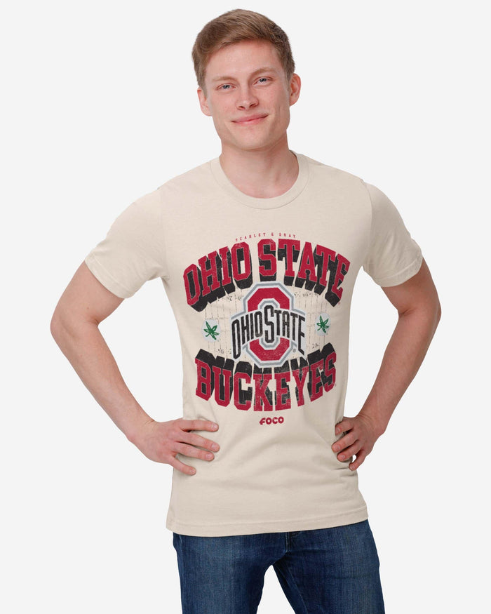 Ohio State Buckeyes Field Arched Wordmark T-Shirt FOCO - FOCO.com