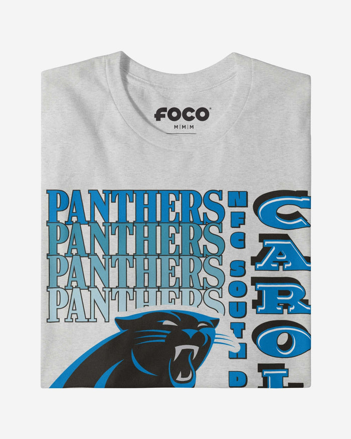 Carolina Panthers Gradient Wordmark T-Shirt FOCO - FOCO.com