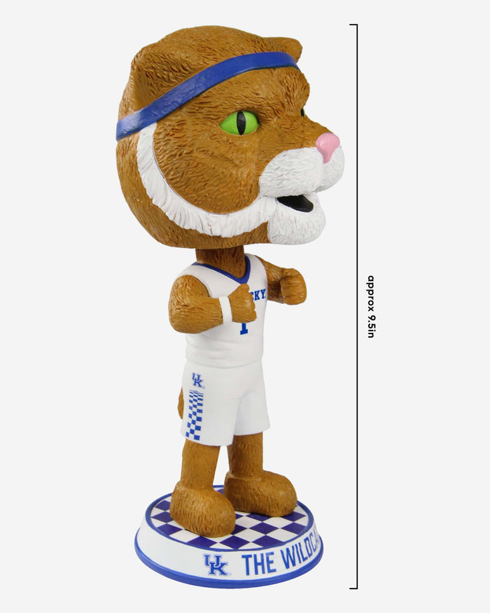 The Wildcat Kentucky Wildcats Mascot Bighead Bobblehead FOCO - FOCO.com