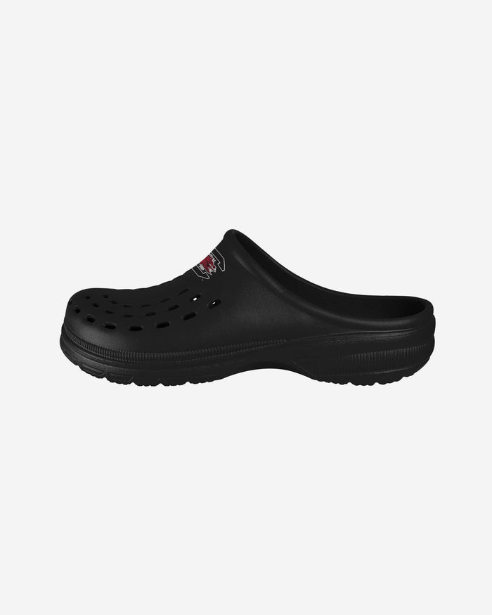 South Carolina Gamecocks Womens Solid Clog FOCO S - FOCO.com