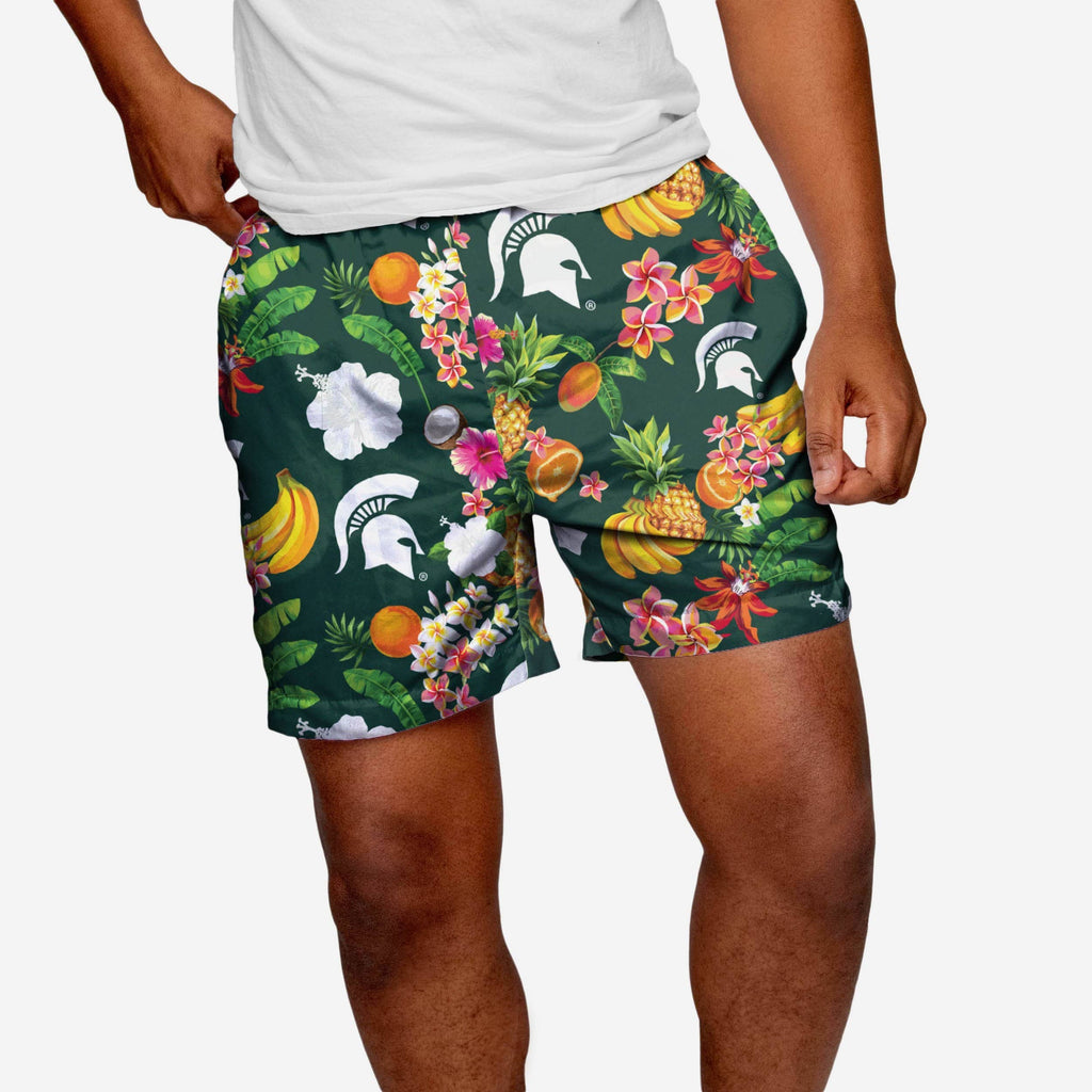 Michigan State Spartans Fruit Life 5.5