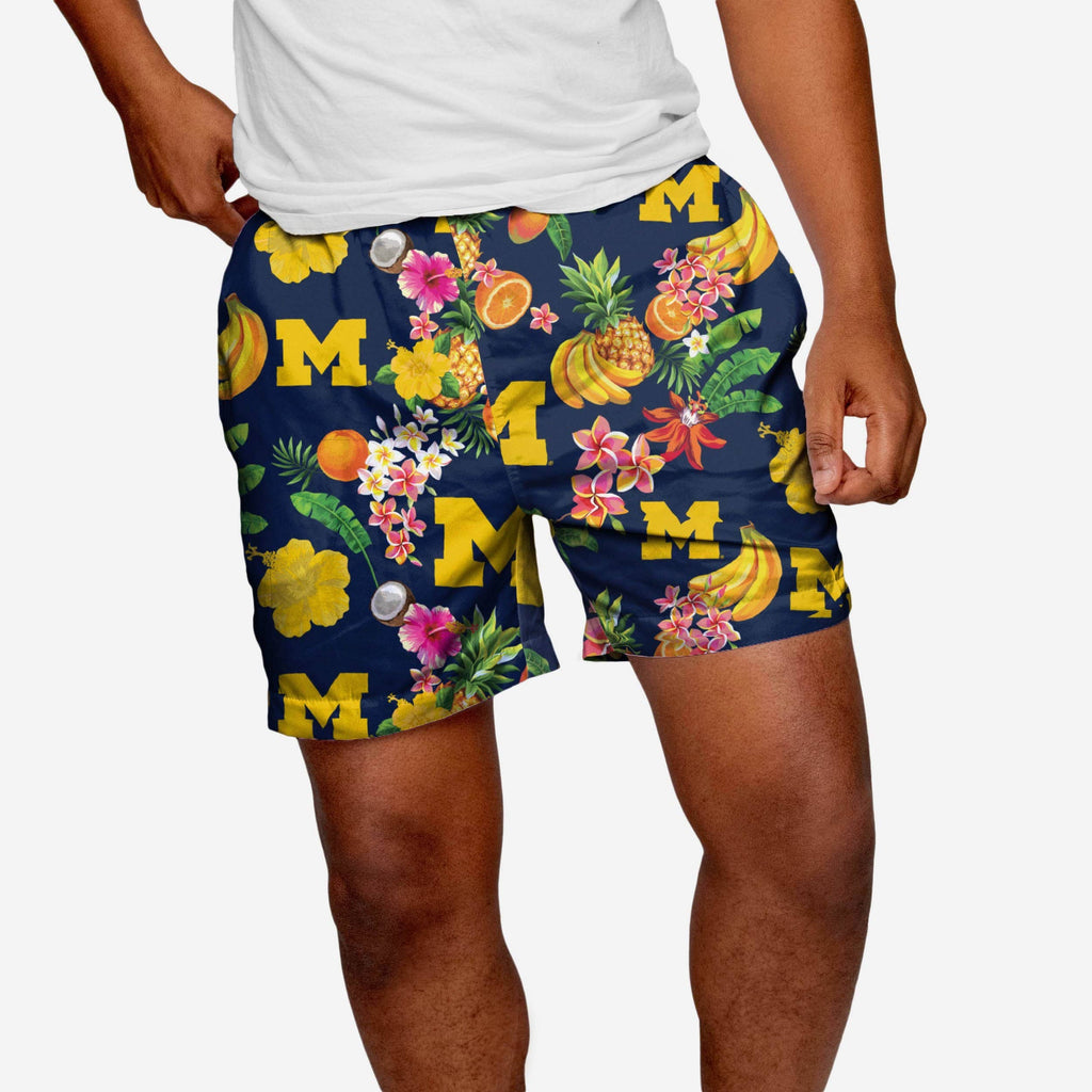 Michigan Wolverines Fruit Life 5.5