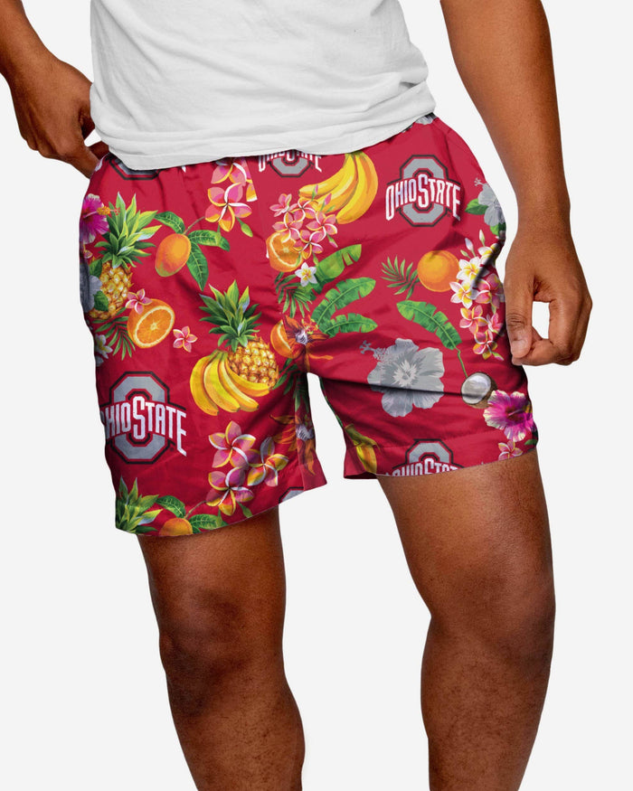 Ohio State Buckeyes Fruit Life 5.5