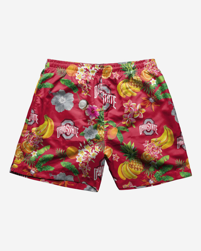 Ohio State Buckeyes Fruit Life 5.5