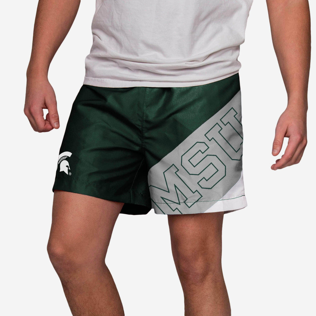 Michigan State Spartans Big Logo 5.5